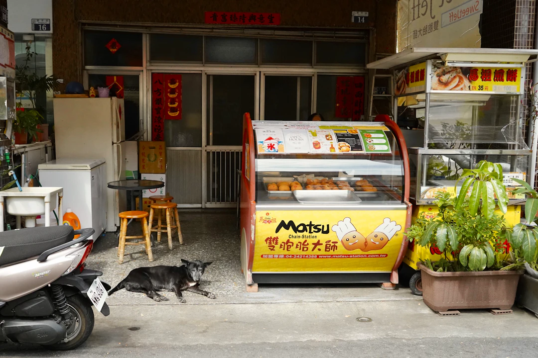 多頭飼い成功事例